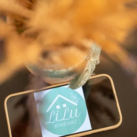 Apartment Lilu Vendeghaz